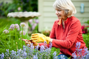 Elderly Woman Gardening